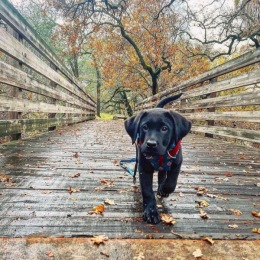 #Folsom is a lifestyle! π³ When you choose to #LiveTalavera, you’ll have quick access to the Johnny Cash trail, the CIM starting point, and plenty of published biking trails. π²
It’s the perfect location to enjoy home AND get away…especially with the pup!
Call now to get details on our latest special – we’re now offering 1 month FREE! 844-580-2807.
πΈ: @Slates_World #Folsom is a lifestyle! π³ When you choose to #LiveTalavera, you’ll have quick access to the Johnny Cash trail, the CIM starting point, and plenty of published biking trails. π²
It’s the perfect location to enjoy home AND get away…especially with the pup!
Call now to get details on our latest special – we’re now offering 1 month FREE! 844-580-2807.
πΈ: @Slates_World